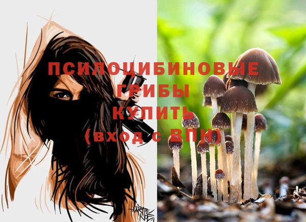 a pvp Алзамай