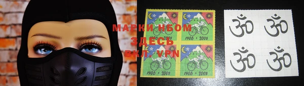 ПСИЛОЦИБИНОВЫЕ ГРИБЫ Алексин