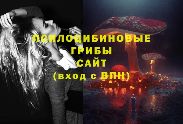 ПСИЛОЦИБИНОВЫЕ ГРИБЫ Алексин