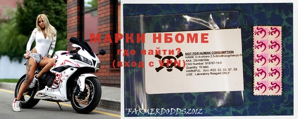 ПСИЛОЦИБИНОВЫЕ ГРИБЫ Алексин