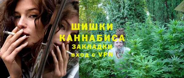 ПСИЛОЦИБИНОВЫЕ ГРИБЫ Алексин