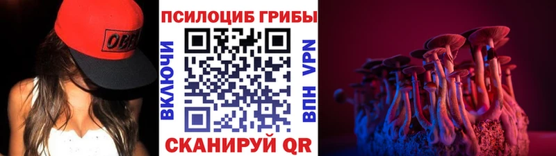 Галлюциногенные грибы Psilocybe  купить наркотики сайты  сайты даркнета Telegram  Гусь-Хрустальный 